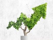 Este año, 54 compañías argentinas certificaron como Empresas B