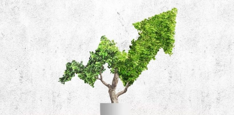 Este año, 54 compañías argentinas certificaron como Empresas B