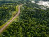 De la selva misionera al mundo: Nideport transforma tecnología en bosques vivos