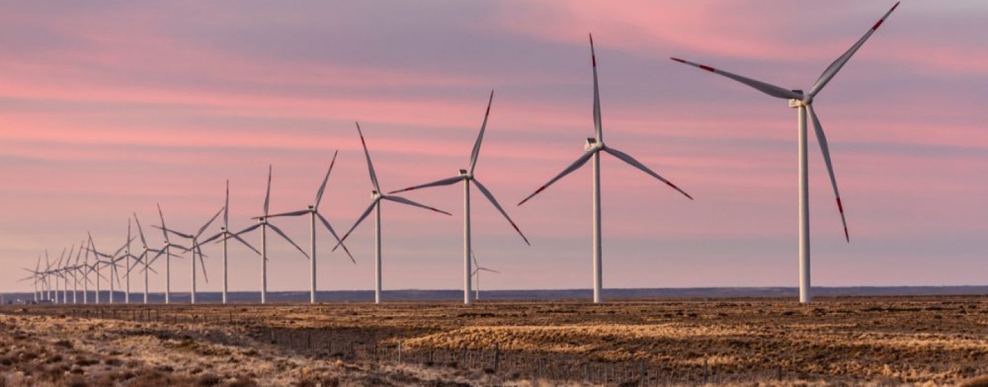 PCR: “La energía certificada nos da ventaja en mercados internacionales”