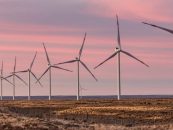 PCR: “La energía certificada nos da ventaja en mercados internacionales”