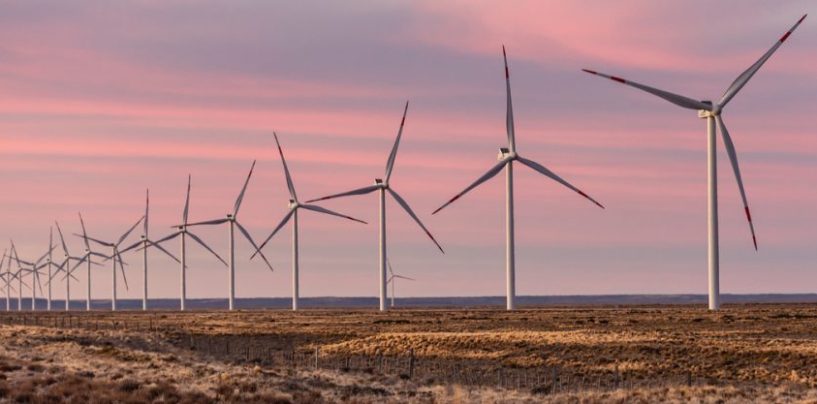 PCR: “La energía certificada nos da ventaja en mercados internacionales”