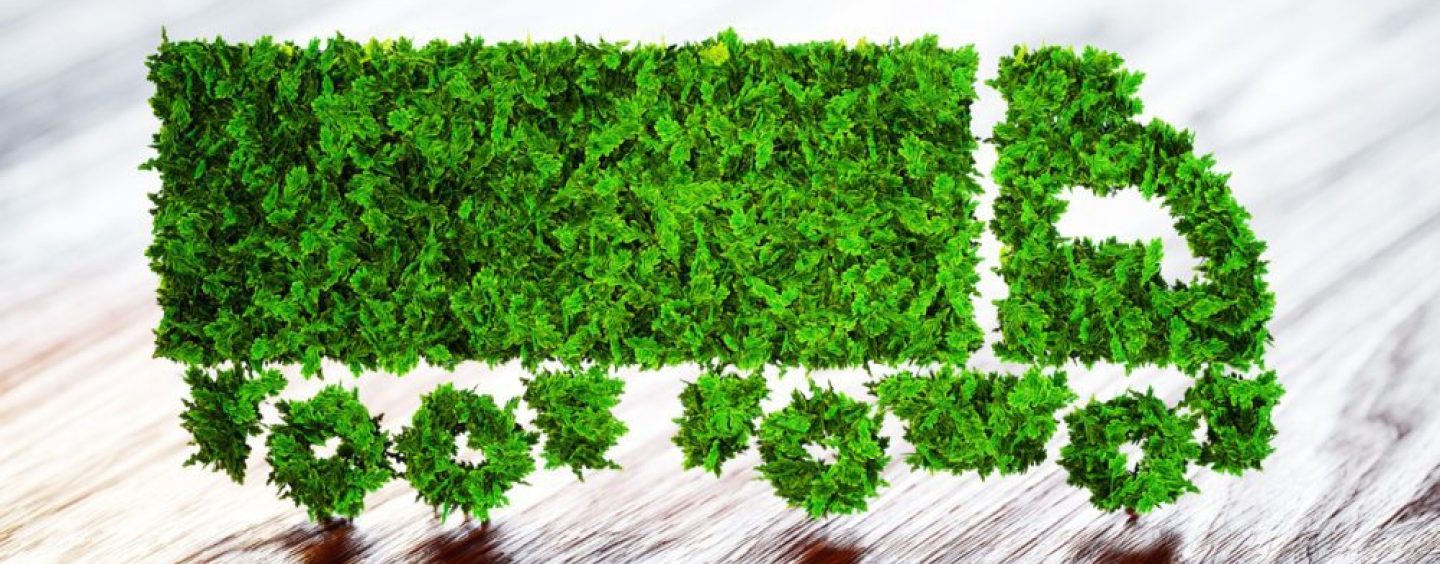 CAF invertirá USD 18.000 millones en transporte sostenible de América Latina y el Caribe