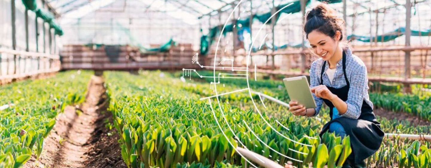 La IA generativa como puente hacia la Agenda 2030