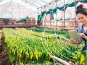 La IA generativa como puente hacia la Agenda 2030