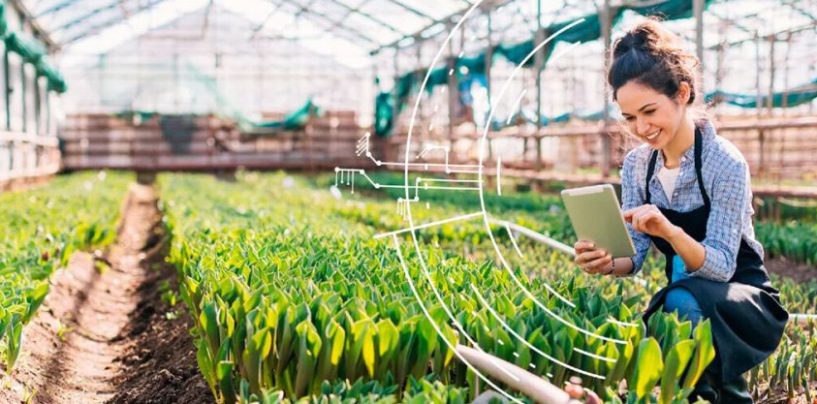 La IA generativa como puente hacia la Agenda 2030