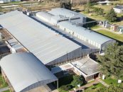 La planta de Henkel Argentina utiliza 100% de energía renovable