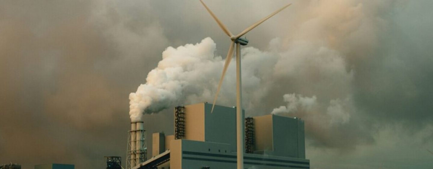 Diferencias entre huella de carbono, estrategia de descabonización y créditos de carbono