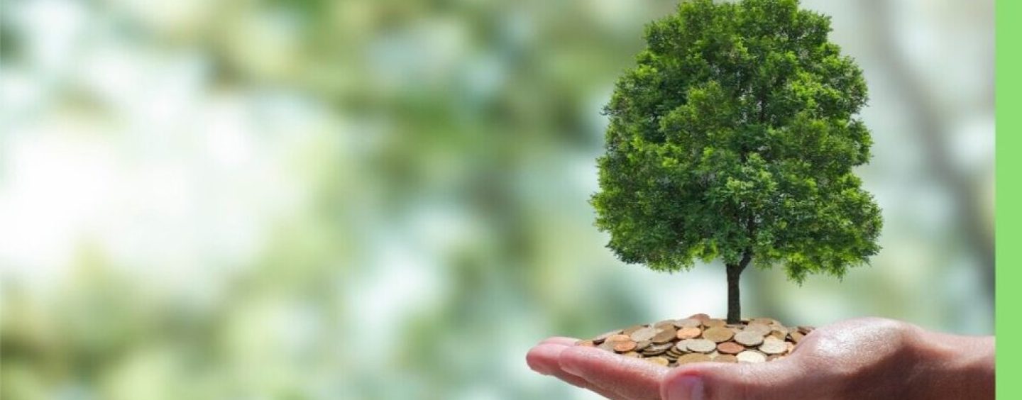 Mercados de Carbono: diez iniciativas distribuidas en distintas regiones de Argentina