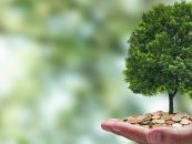 Mercados de Carbono: diez iniciativas distribuidas en distintas regiones de Argentina