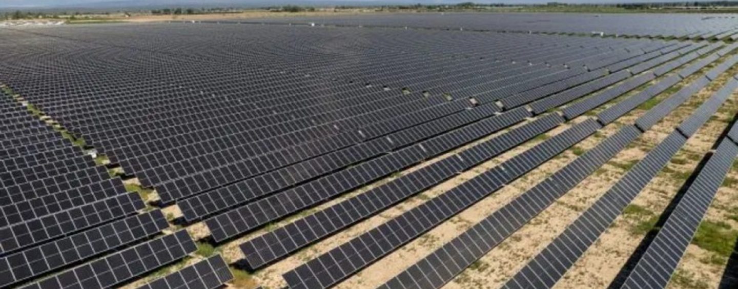 Genneia puso en marcha Anchoris y consolida a Mendoza como polo solar