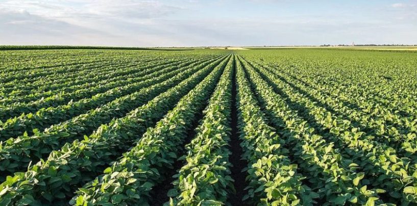 Sostenibilidad 2.0: por qué la confianza será el nuevo estándar global