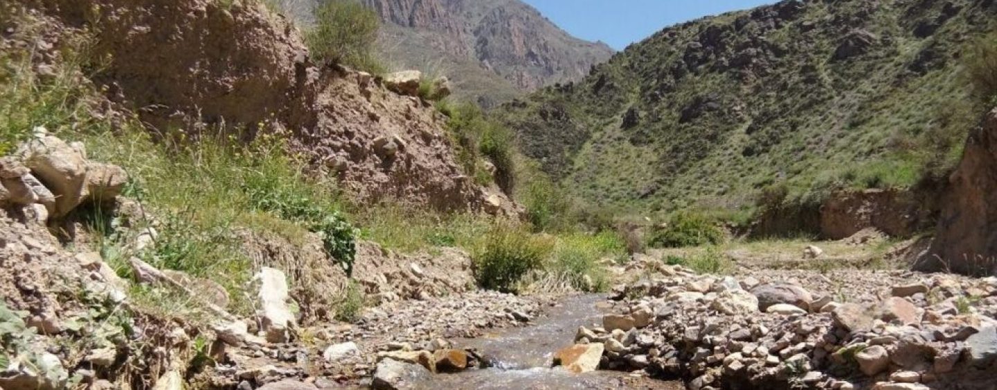 Villavicencio refuerza su apuesta por la conservación en la precordillera mendocina