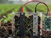 Electricidad desde el suelo: una pila microbiana abre posibilidades para sensores remotos