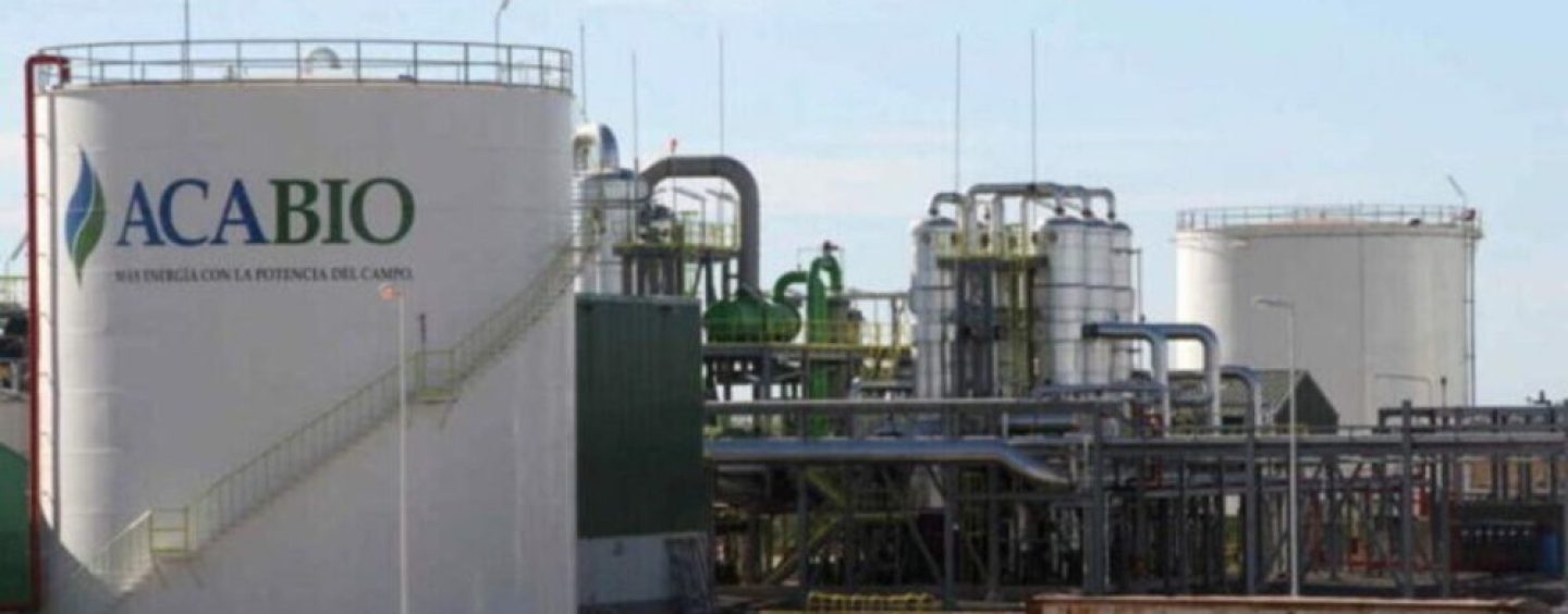 ACABIO: el modelo cooperativo que transforma maíz en energía y valor industrial