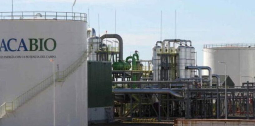 ACABIO: el modelo cooperativo que transforma maíz en energía y valor industrial