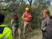 Restauración ambiental en Córdoba: impulsan la recuperación de una reserva clave tras los incendios