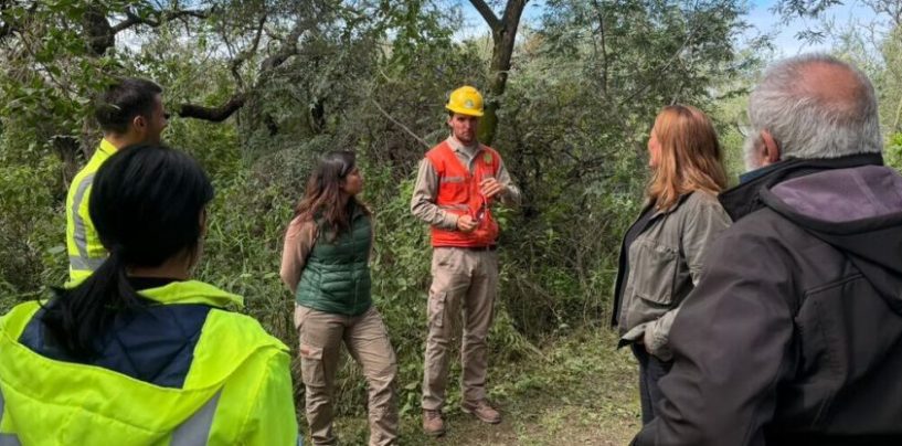 Restauración ambiental en Córdoba: impulsan la recuperación de una reserva clave tras los incendios