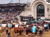 La Rural mide su huella de carbono y traza un plan para reducir emisiones hacia 2050