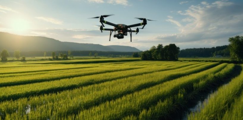 El rol de las startups en la agricultura regenerativa y las soluciones bajas en carbono