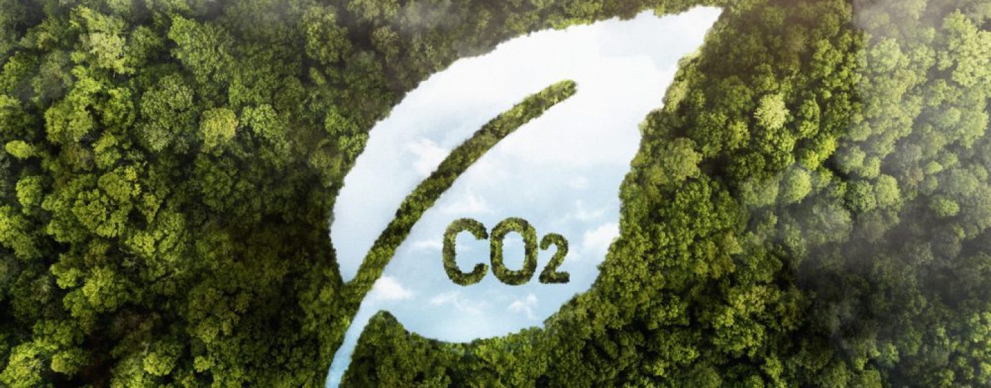 Mercados de carbono: América Latina acelera su inserción global y proyecta ingresos millonarios