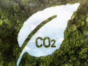 Mercados de carbono: América Latina acelera su inserción global y proyecta ingresos millonarios