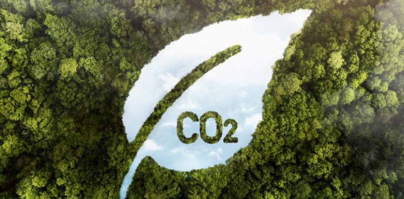 Mercados de carbono: América Latina acelera su inserción global y proyecta ingresos millonarios