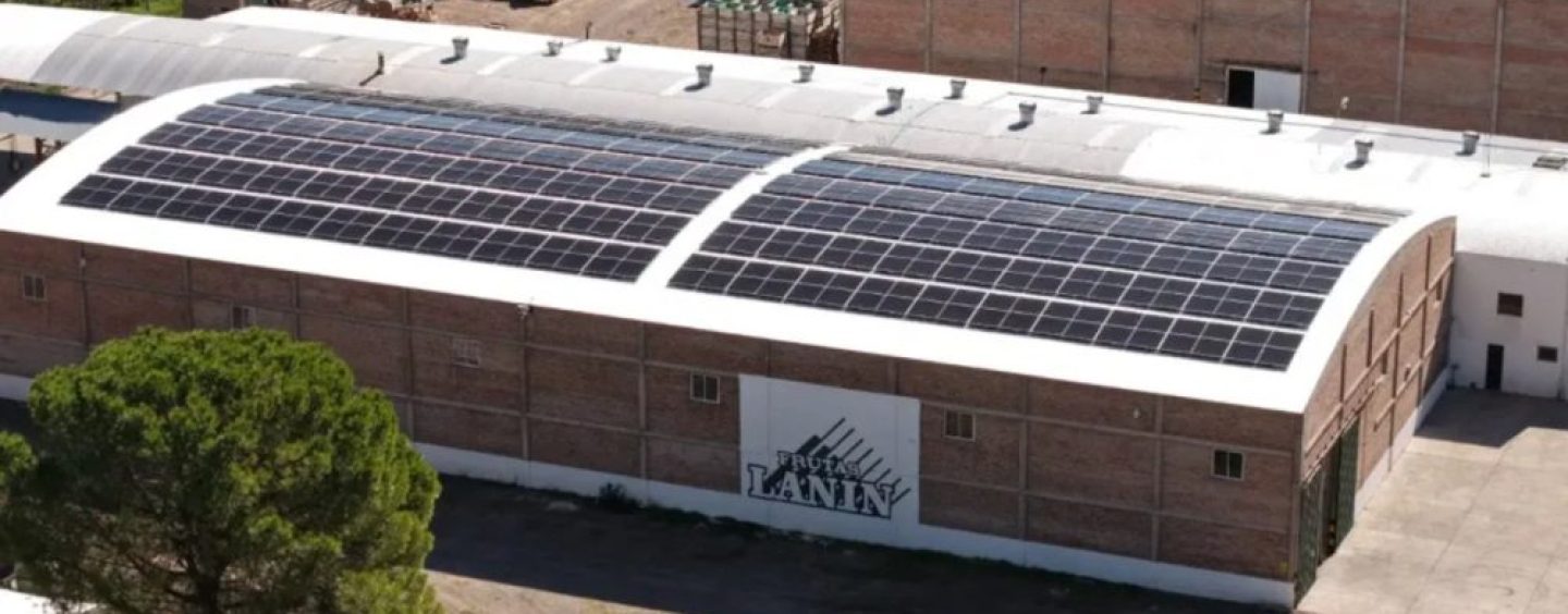 Una firma frutícola de Río Negro instaló energía solar para abastecer sus cámaras de frío