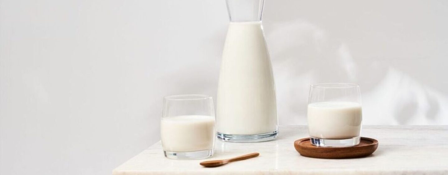 La proteína, mucho más que un nutriente clave para el mantenimiento de la masa muscular