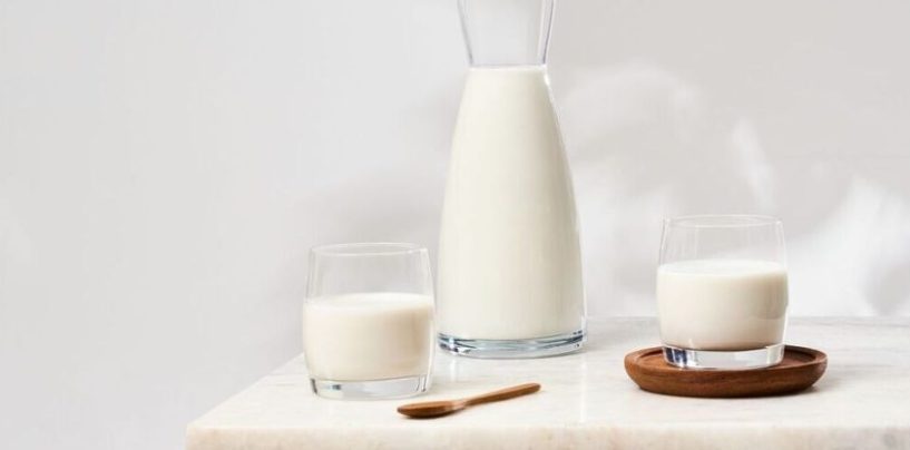 La proteína, mucho más que un nutriente clave para el mantenimiento de la masa muscular
