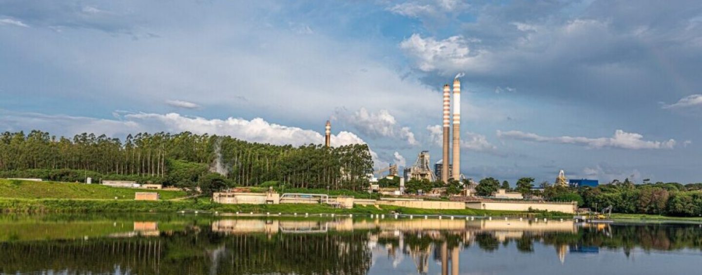 Los envases de fibra renovable ganan terreno y redefinen la estrategia de las marcas