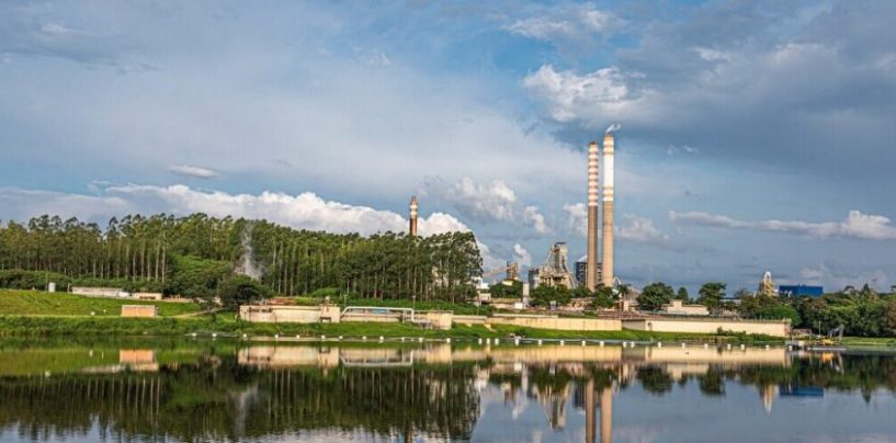 Los envases de fibra renovable ganan terreno y redefinen la estrategia de las marcas