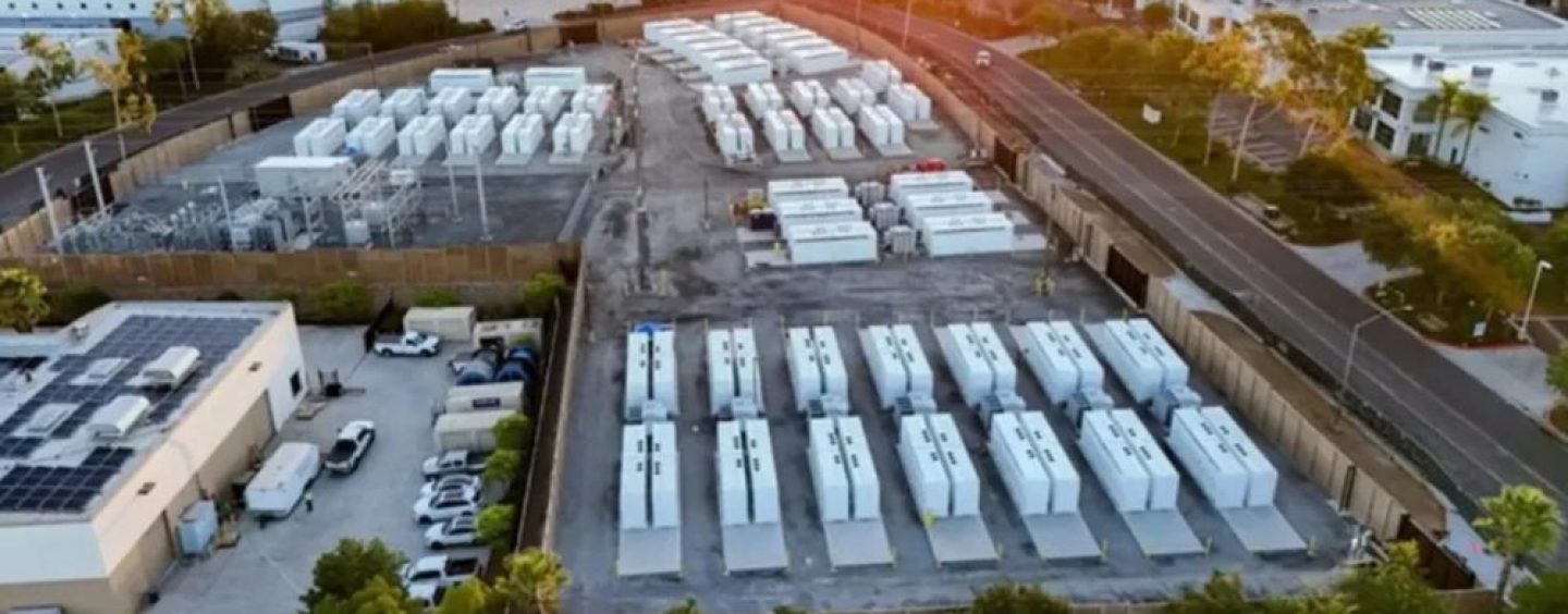 Licitación de Alma SADI: 37 empresas presentaron ofertas por 8.335 MW