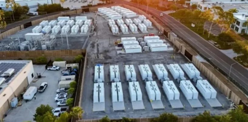 Licitación de Alma SADI: 37 empresas presentaron ofertas por 8.335 MW