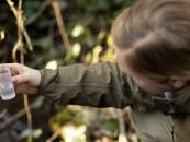 Las Soluciones Basadas en la Naturaleza (SbN) para la adaptación al cambio climático