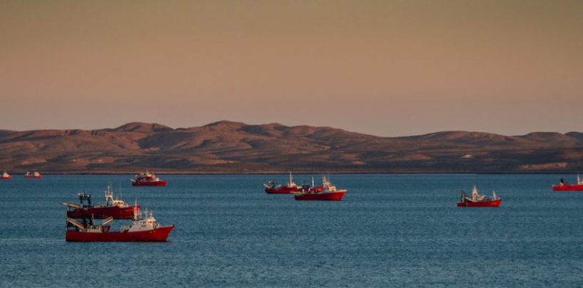 Chubut: un paso inédito hacia la transparencia pesquera
