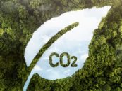 “Argentina tiene una oportunidad enorme en el mercado voluntario de carbono”