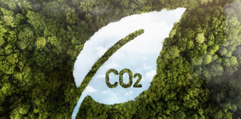“Argentina tiene una oportunidad enorme en el mercado voluntario de carbono”