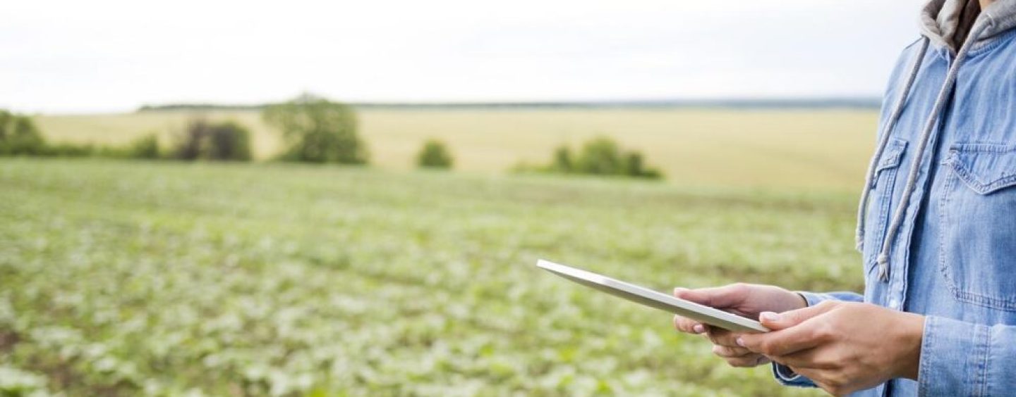 La huella de carbono redefine las reglas del agro y obliga a medir emisiones con precisión