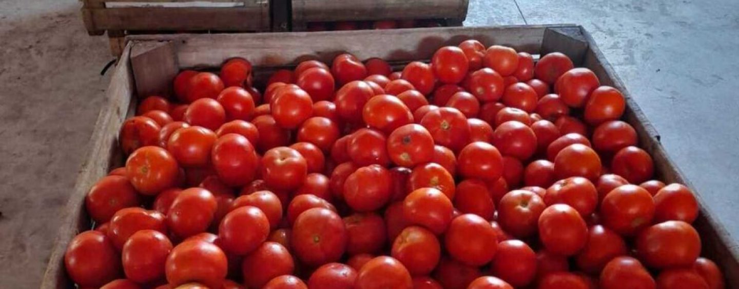 BASF y NODO: alianza para recuperar alimentos y reducir el impacto ambiental