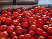 BASF y NODO: alianza para recuperar alimentos y reducir el impacto ambiental