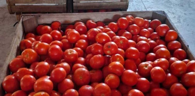 BASF y NODO: alianza para recuperar alimentos y reducir el impacto ambiental
