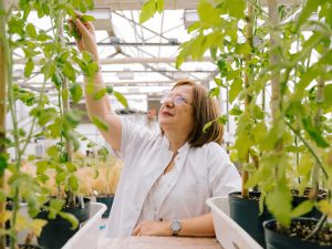 La científica argentina Raquel Lía Chan fue distinguida por el Premio Internacional L’Oréal-UNESCO Por las Mujeres en la Ciencia 2026