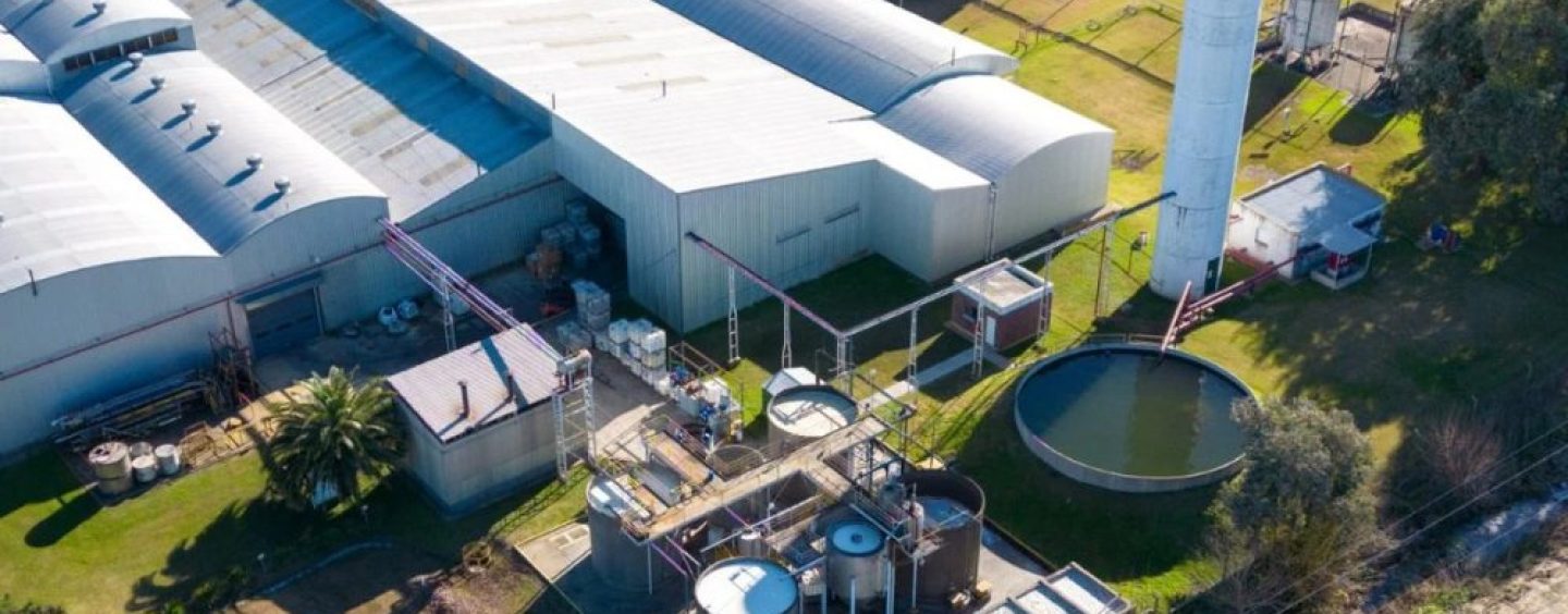 Henkel acelera su estrategia ambiental con nuevas metas globales