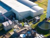 Henkel acelera su estrategia ambiental con nuevas metas globales