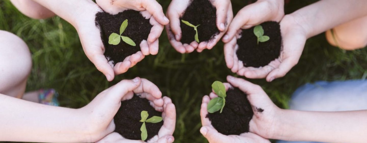 Día Mundial del Ambiente: entre la conmemoración y la seriedad