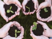 Día Mundial del Ambiente: entre la conmemoración y la seriedad