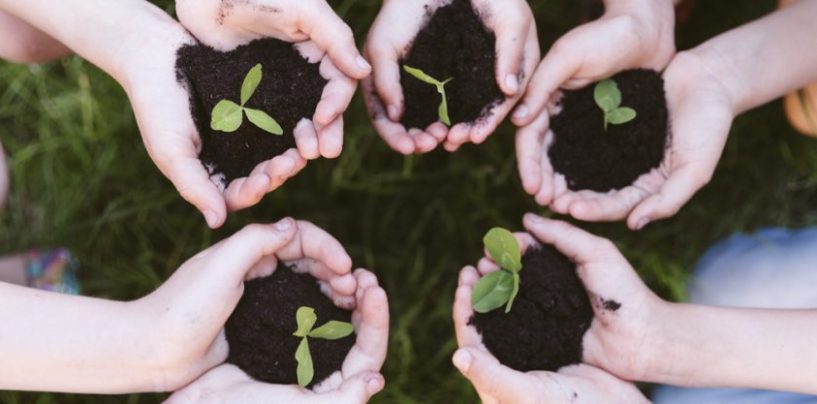 Día Mundial del Ambiente: entre la conmemoración y la seriedad