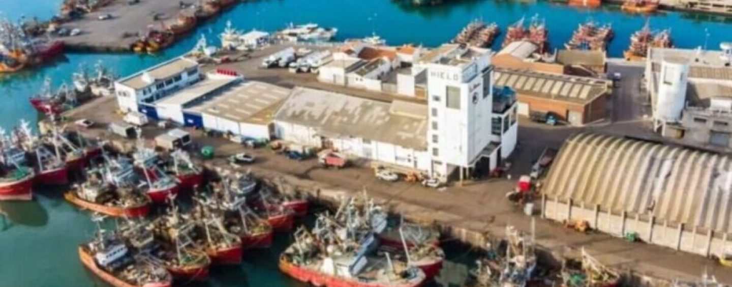 Buscan transformar residuos grasos del puerto de Mar del Plata en bioplásticos