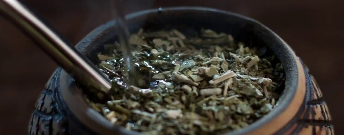 Más allá de la yerba: cómo Santa Ana incorpora la sustentabilidad a su operación